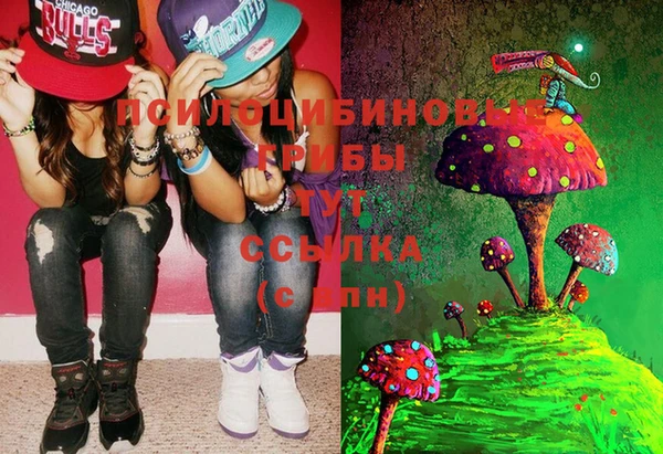 MDMA Premium VHQ Алзамай